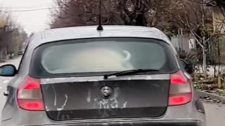 Pig In A BMW