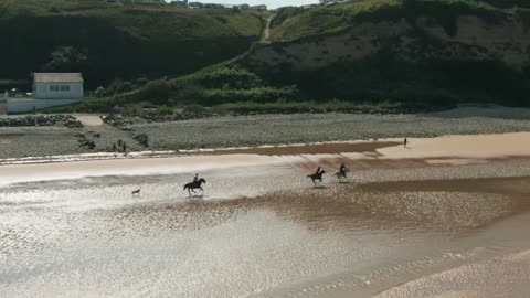 horseback riding along the seashore