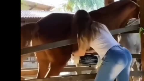 Horse 🐎 cum shot in hot girl hands funny moments in horse naughty horse 😂