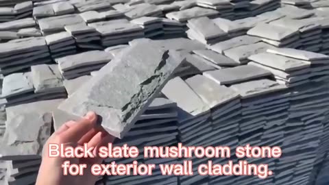 Quartzite Stone Villa Exterior Decorative Wall Cladding Panels Outdoor Mushroom Stone in 2024