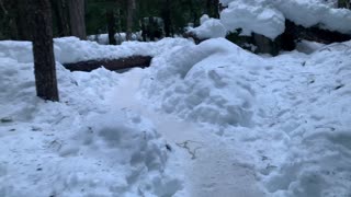 Narrow Icy Trail – Tamanawas Falls – Mount Hood – Oregon – 4K