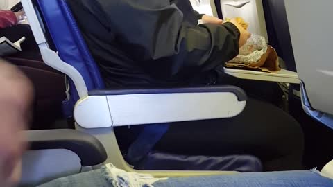 Paying Nephew $40 to Ask Stranger on Plane for Bite of Food