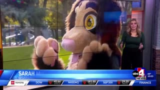 WOAH: Furries Cause Big Controversy At Middle School