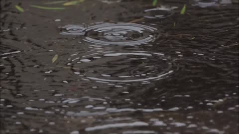 Rain in a Puddle