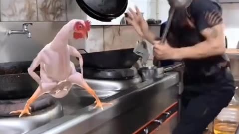 Chicken funny dance, must watch