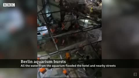 Giant Berlin hotel aquarium with 1,500 fish explodes - BBC News