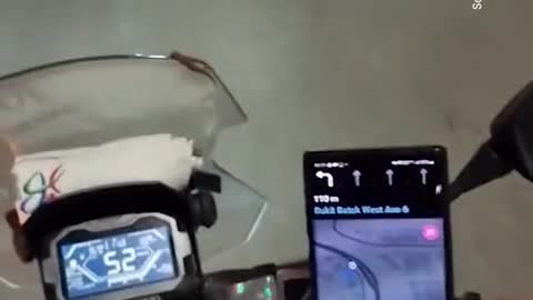 Pillion rider finds lizard on motorcycle windshield