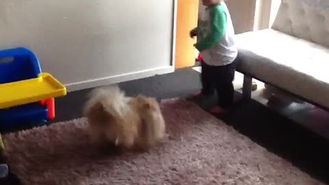 Excited dog wants to play with baby