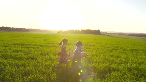 Children and dogs friend's