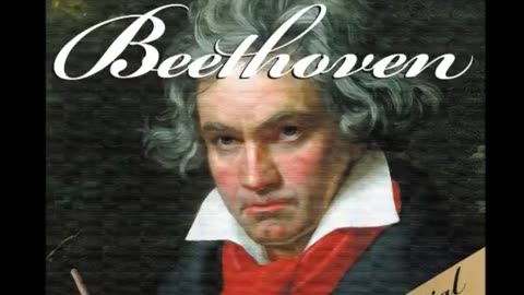 Beethoven's Best Play- liked it