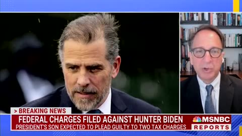'Very Fair': Lead Mueller Prosecutor Defends Hunter Getting Off Without Any Jail Time