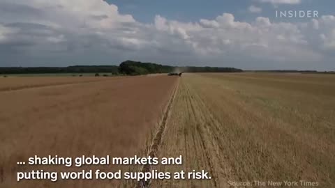 Russia Bombs Ukraine’s Grain Silos, Risking Global Famine