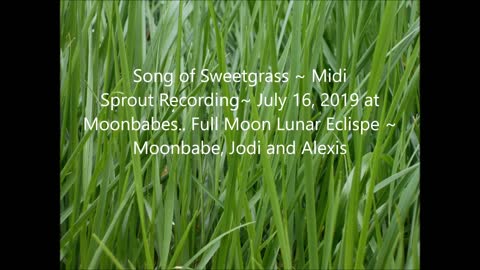 Song of Sweetgrass recorded with Midi Sprout.. July 16, 2019 Full Moon/Lunar Eclipse