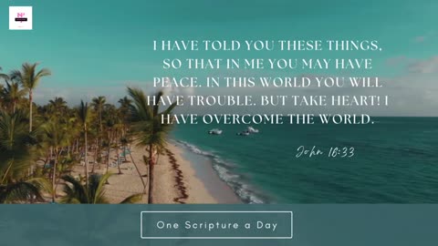 JOHN 16:33 NIV | One SCRIPTURE a Day W/1SP #youtube & rumble @official1sp