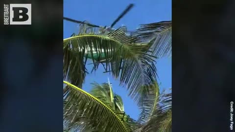 VIDEO: Over a Dozen Migrants ARRESTED After Rushing the Beach in Florida's Palm Beach County