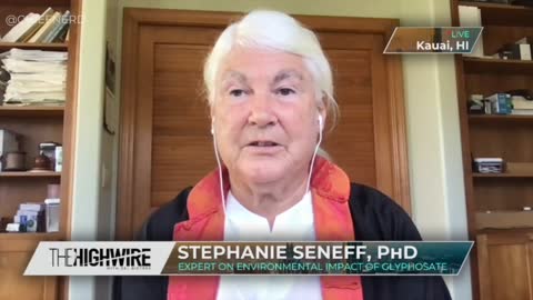 MIT Scientist Stephanie Seneff Explains How Glyphosate May Worsen COVID Outcomes.