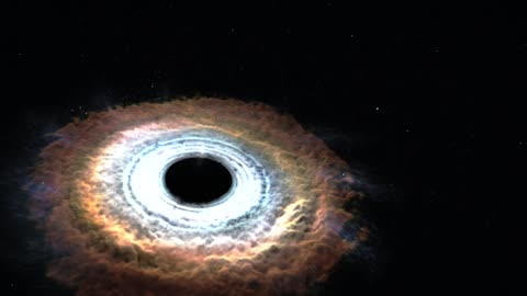 Galactic Appetite: When a Black Hole Engulfs a Star