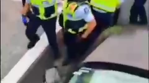 Police violence in Wellington NZ against freedom protesters.
