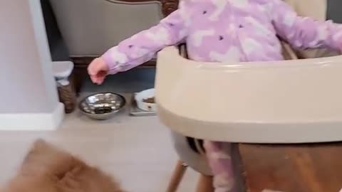 THE LOOK OF BETRAYAL AT THE END - BABIES & KIDS