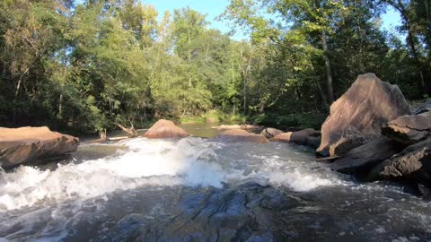 Sights and Sounds Tyger River Lyman SC