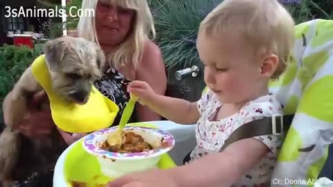 Cute babies palying with pets