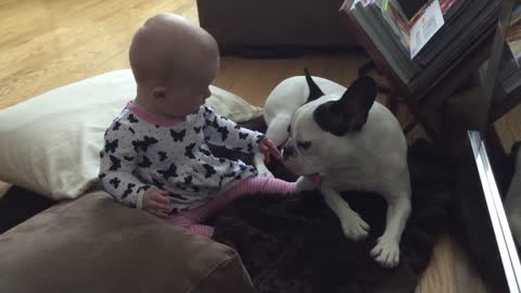 Adorable Baby Meets A Patient French Bulldog And What Follows Is A Real Friendship