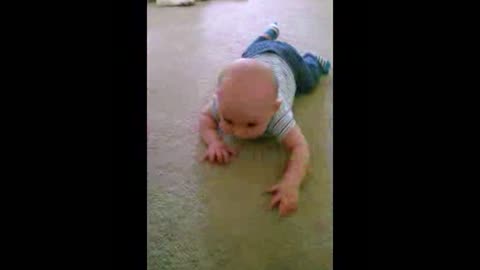 Boston Terrier Teaches Newborn Baby How To Crawl