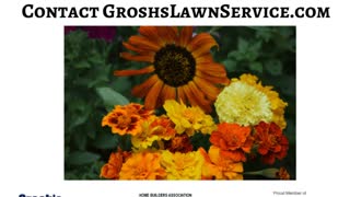Annual Flowers Hagerstown MD Landscaping Contractor