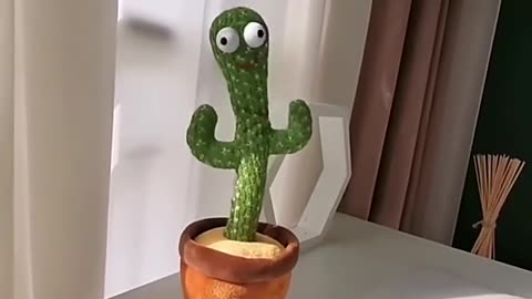 Dancing cactus