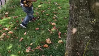 Squirrel chaser