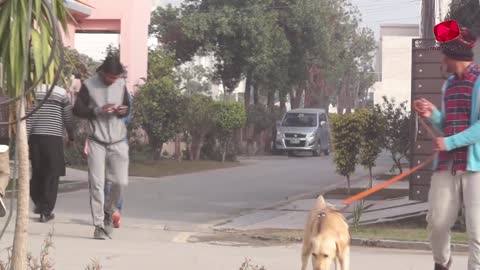 Real Dog Bark Prank Prank in Pakistan Smarties Prank😂