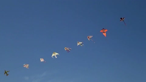 KITES ARE FLYING IN THE SKY