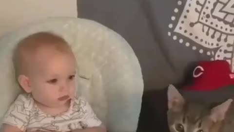 animals love for babies