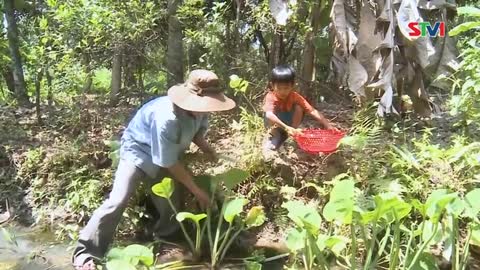 Nhớ bữa cơm nghèo