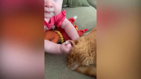 the baby will eat the cat's ears