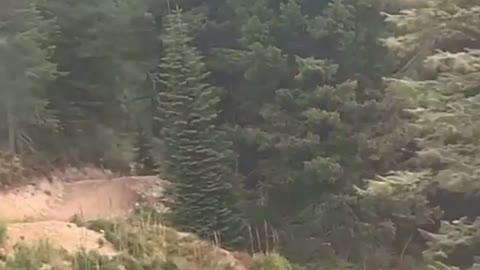 Black bear chasing a mountain biker! .. 🐻