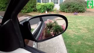 Save $100s by replacing your side-view mirror yourself!