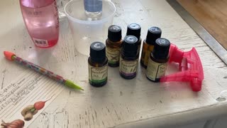 Essential Oil Bug Spray