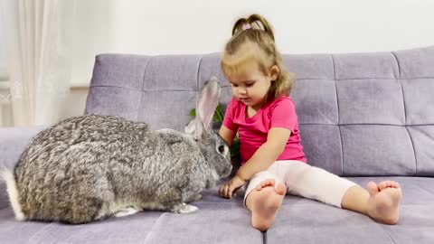 Cute_Baby_Feeding_The_Giant_Rabbit_