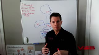 Health Bite_Digestion Basics 1 of 3_Eating Hygiene