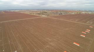 Winter cotton field 2