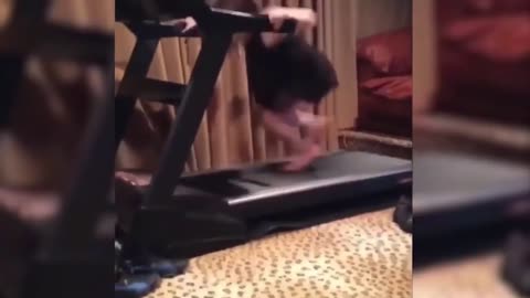 The Best Compilation of Treadmill Fails | Scorpions For Days