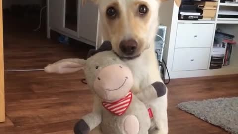 Cute Dog Hugs Stuffed Animal