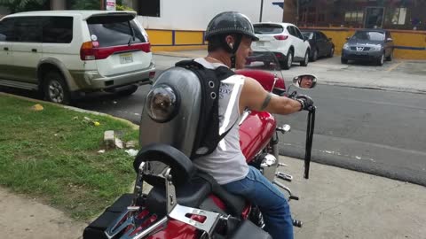 Siamese Cat Enjoys Motorcycle Ride In Astronaut Capsule Backpack