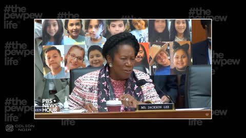 Debunking Sheila Jackson Lee's Babble At House "Assault Weapon" Ban Hearing - HR 1808