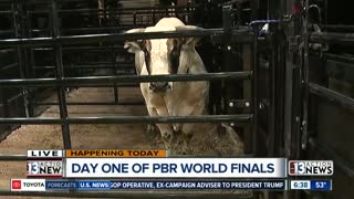 Day 1 of PBR World Finals