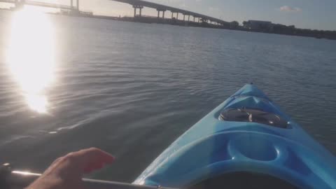 Florida Kayaking with Alligators & Dolphins - SebCam Clips