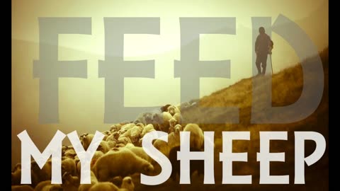 The Lion's Table: Feed My Sheep