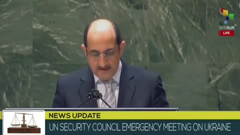 UN Security Council finally gets told by this UN Ambassador