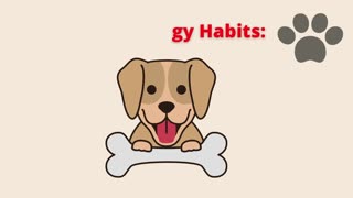 Dog obedience training 🐶 Potty training puppy 🐶 Petsmart training